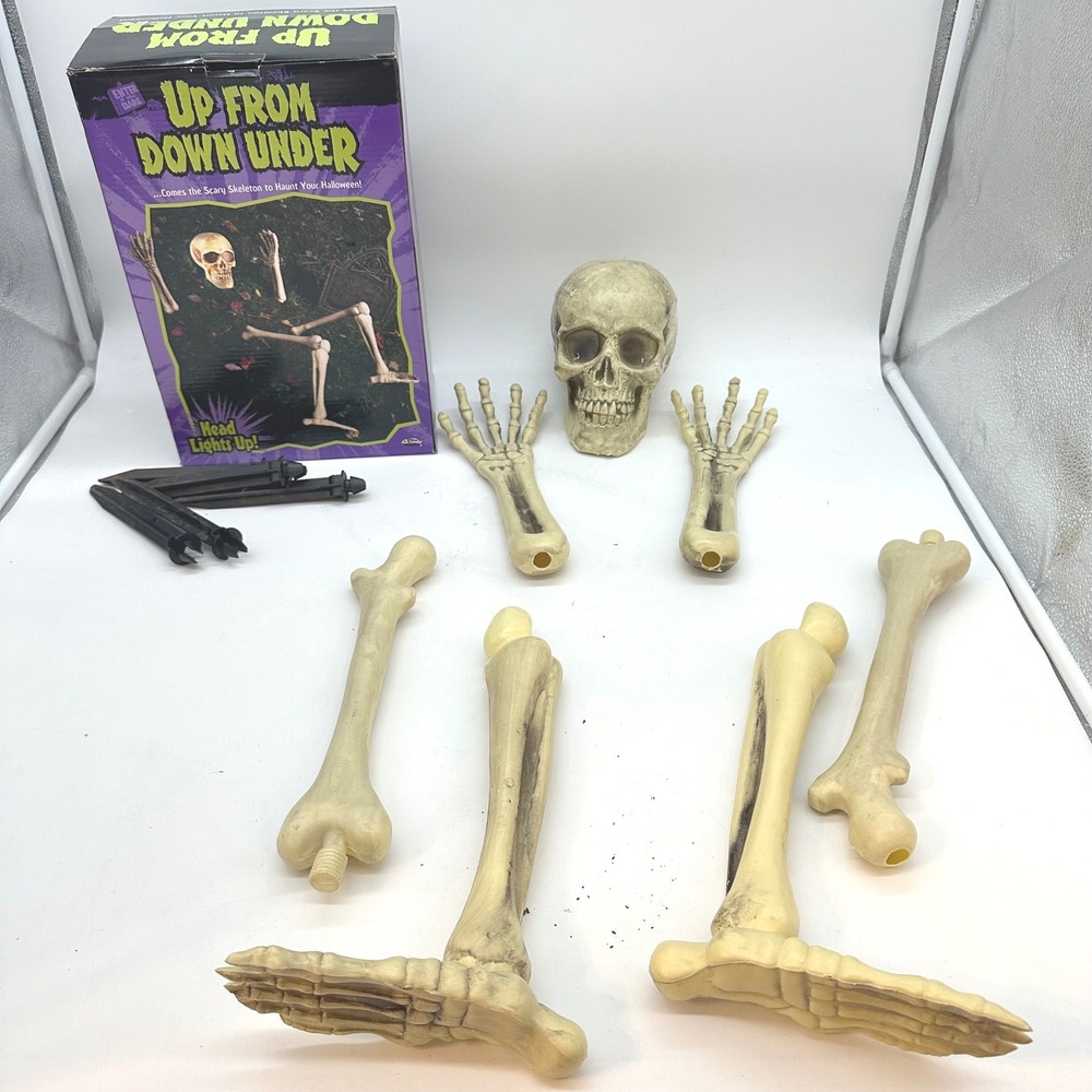Fun World Halloween Skeleton Groundbreaker Up From Down Under Light Up Eyes 12pc